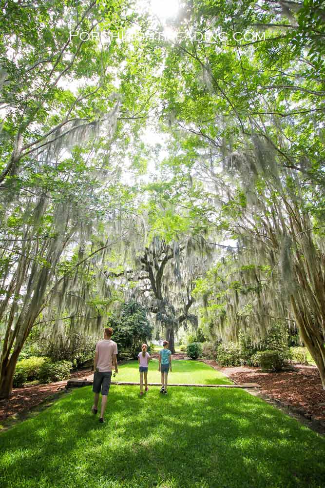 Family exploring the grounds of Mepkin Abbey under the large trees covered in Spanish Moss.