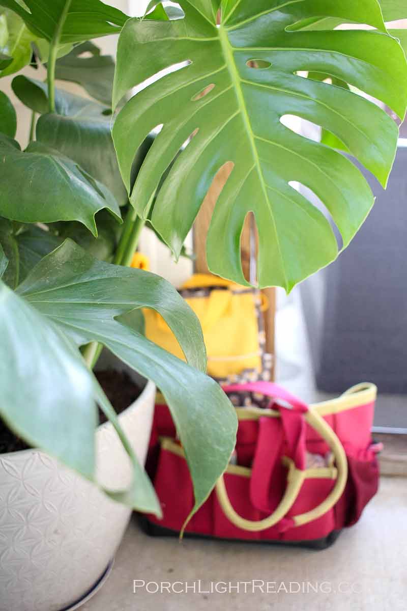 Gardening bag and plant in a small screened in porch. 