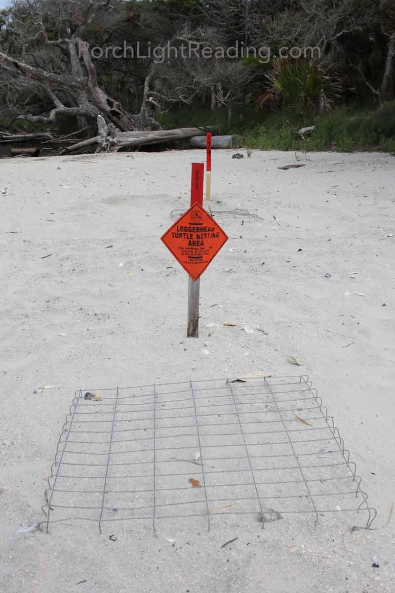 Protected loggerhead turtle nest.