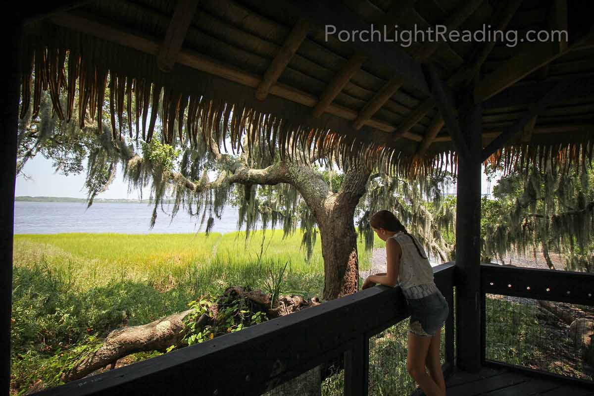 Views of the Wando River.