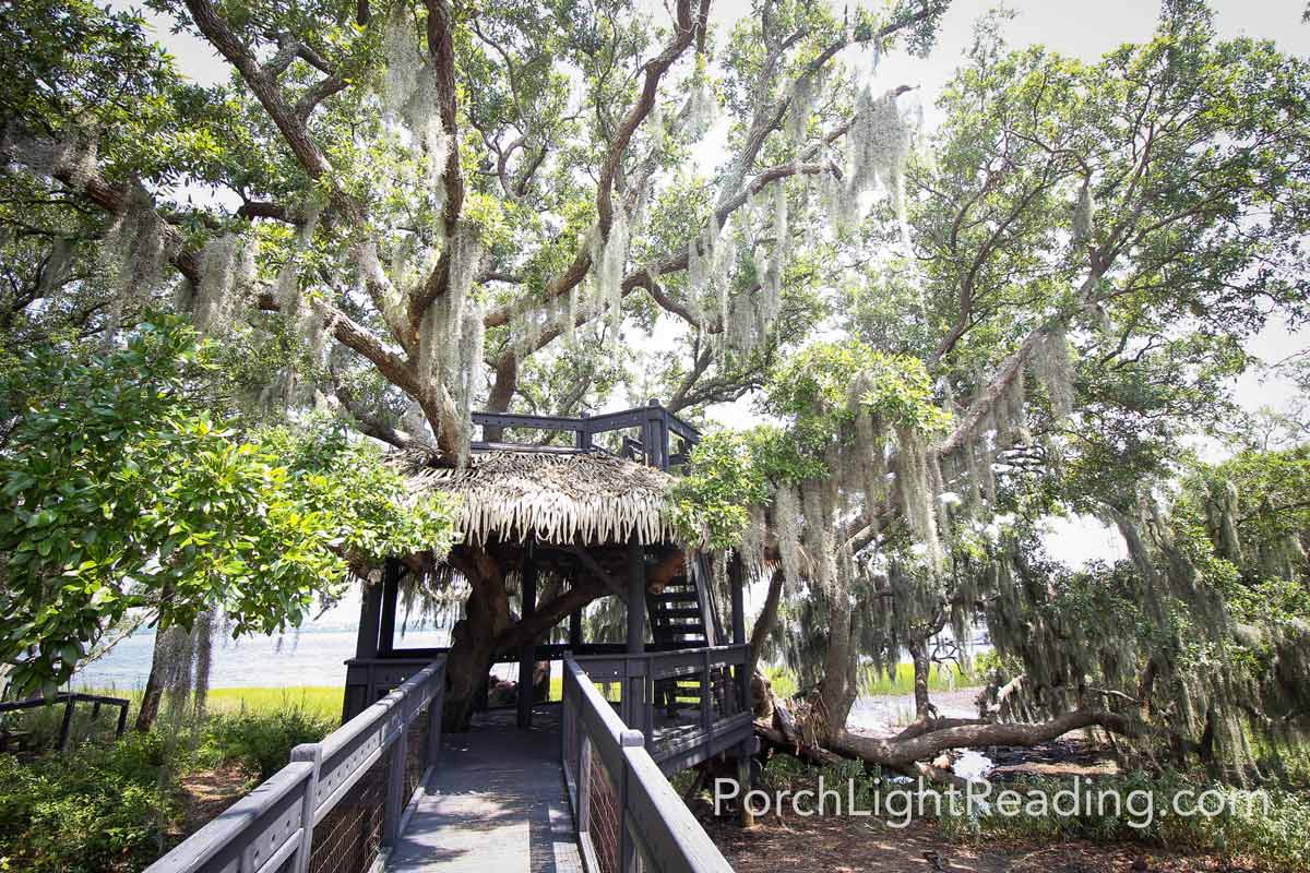Spanish moss dripping form the branches of the tree and treehouse.