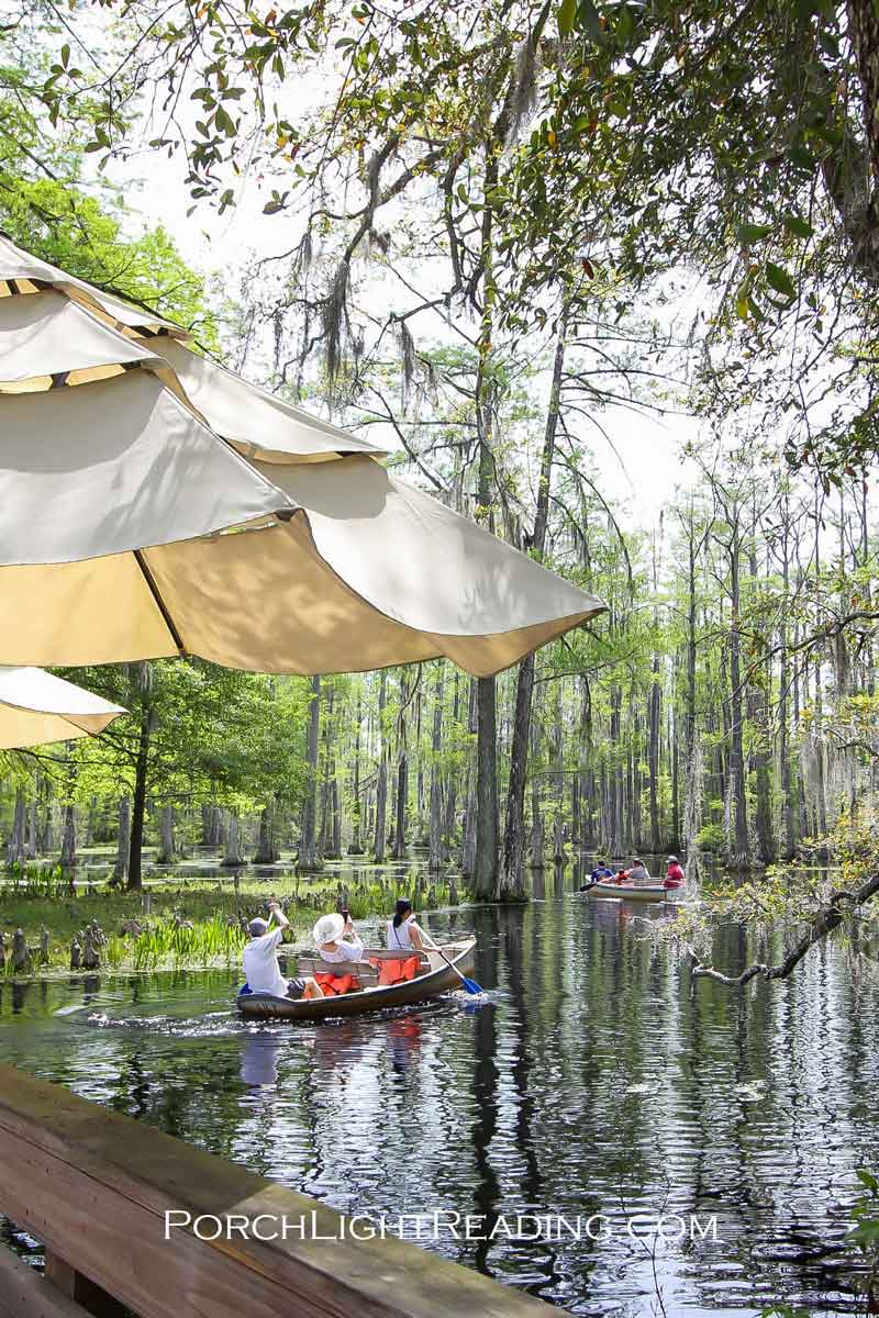 Boat tour along the swamps at Cypress Garden.