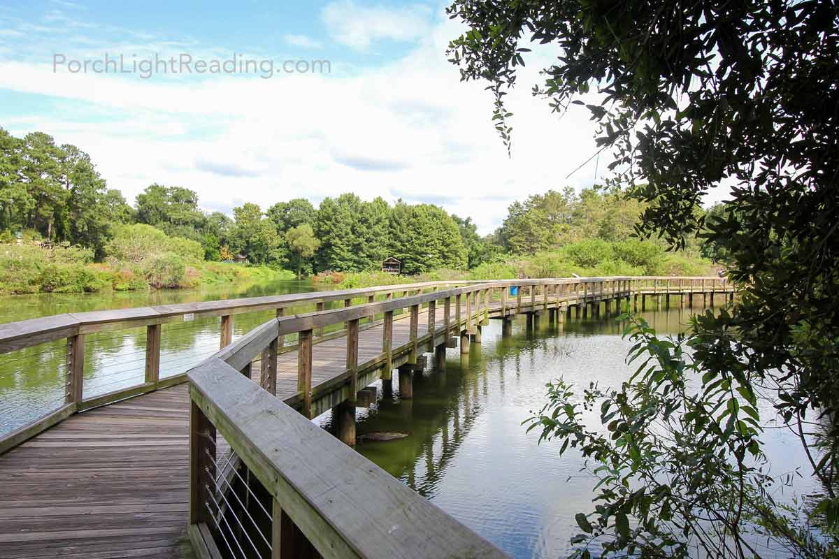 Boardwalk at Cypress Wetlands.