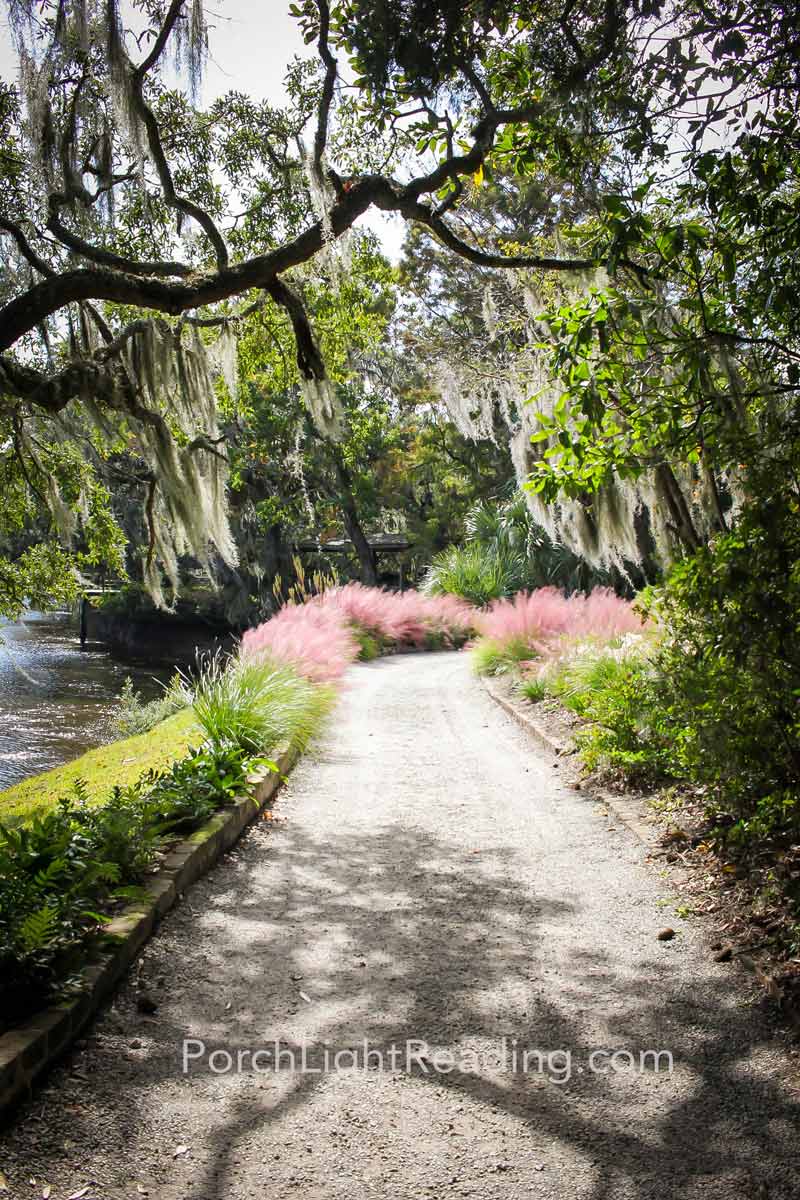 Nature path with pink plants along the Ashley River.