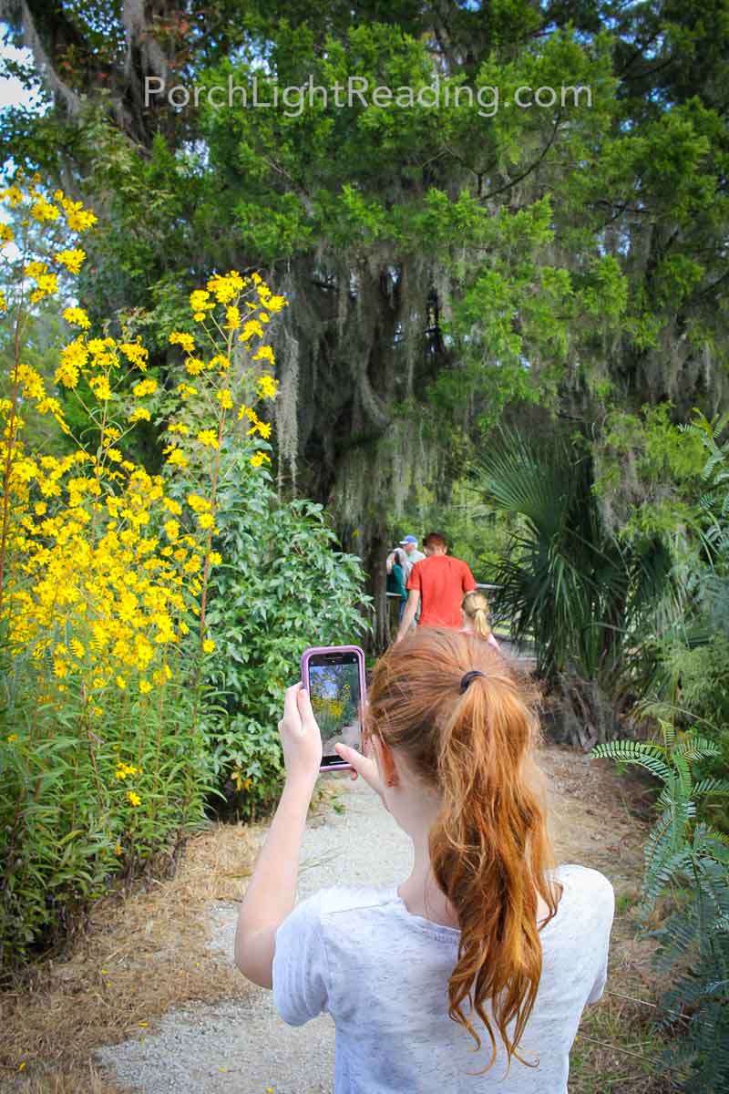 Young girl taking photos of the bright yellow flowers.