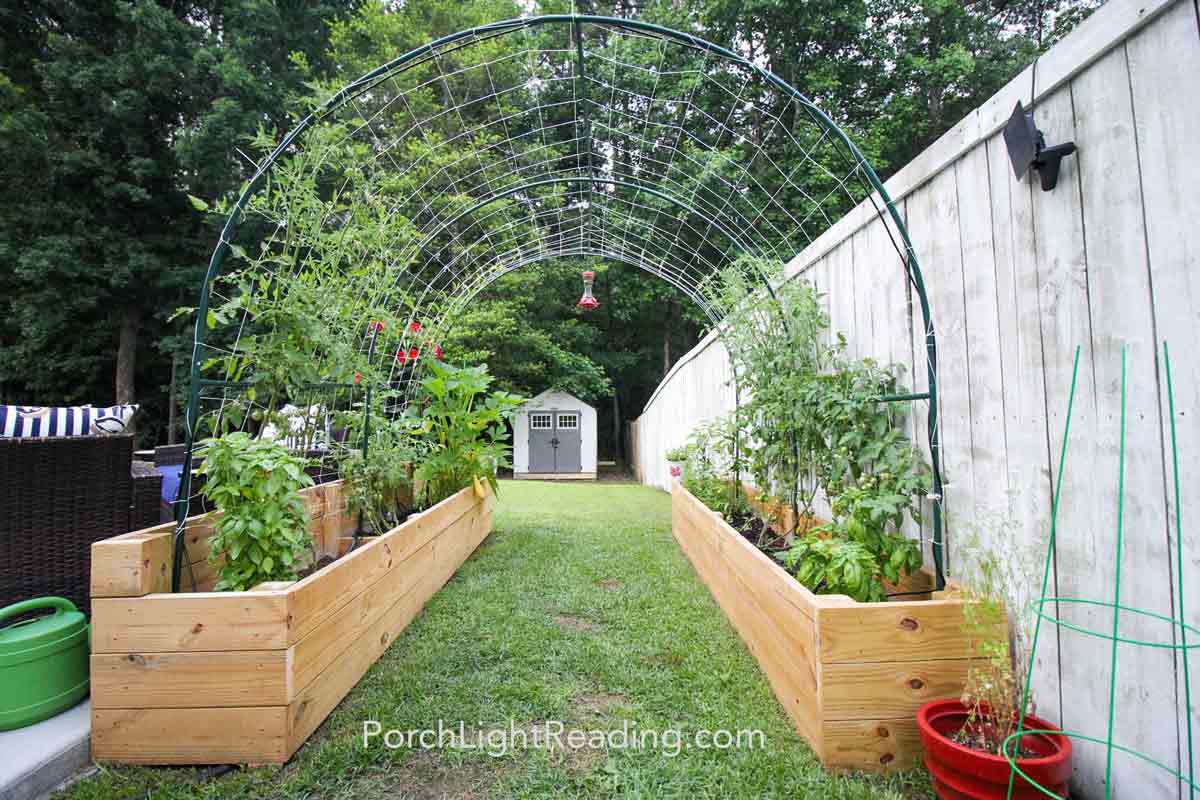 Raised garden bed framing the concrete patio, with a trellis archway. 