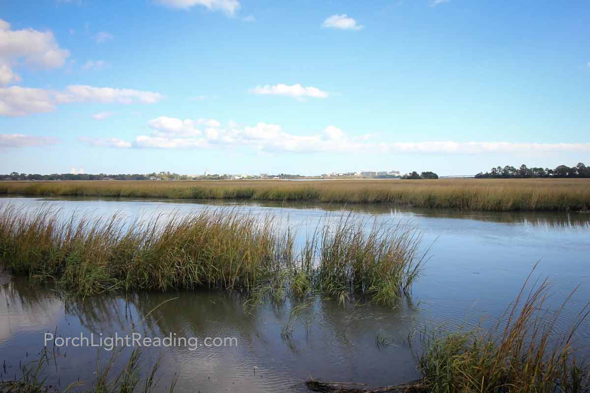 Marsh area with waterway and tall grasses.