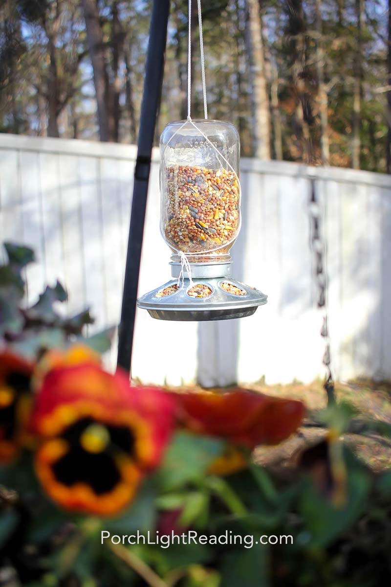 Mason jar bird feeder with chick base surrounded by orange flowers. 