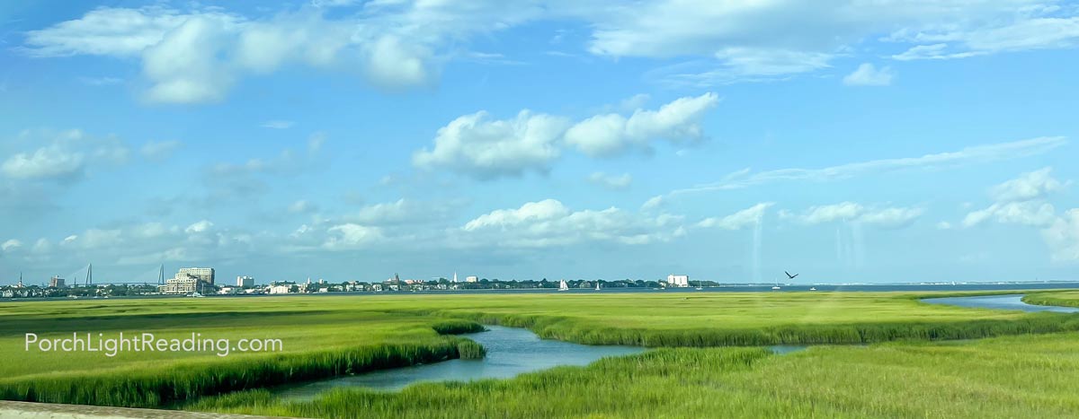 Marshland overlooking downtown Charleston, SC.