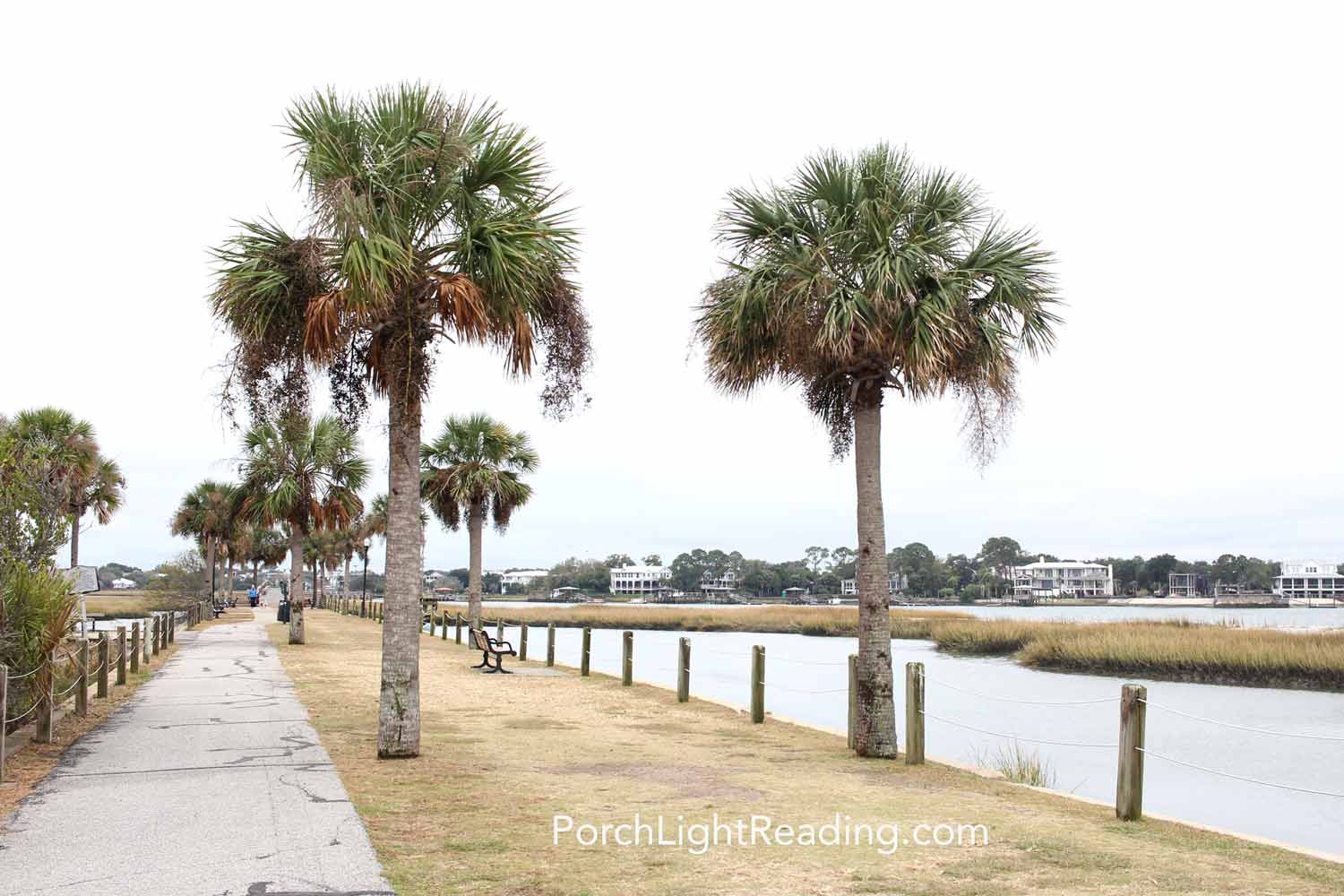 Pit Street Bridge walking trail with palmetto trees lining the walkway.