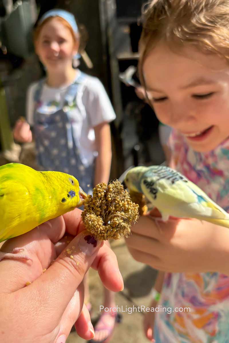 Little girls feeding the brightly colored parakeets.