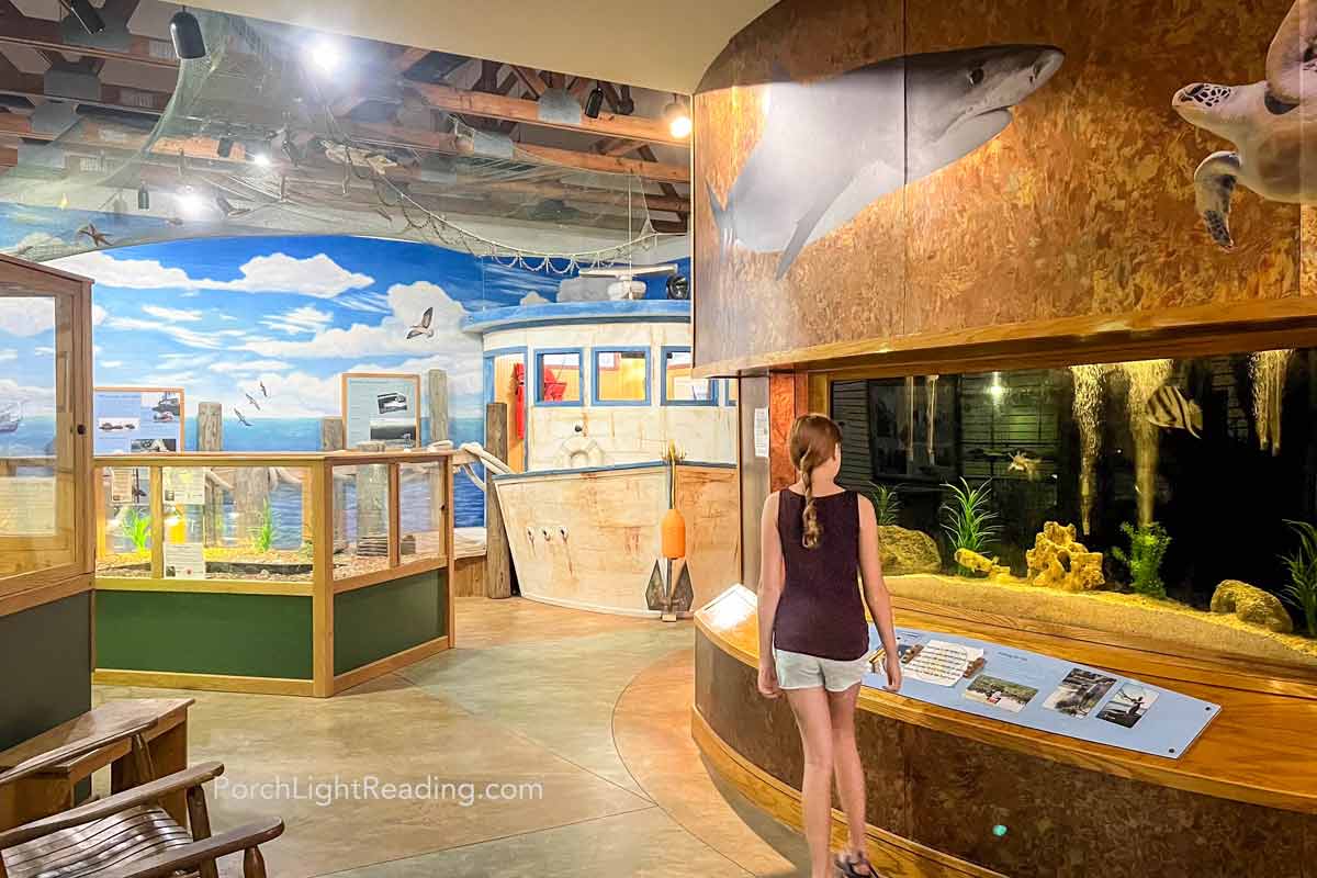 Museum inside the Edisto Envoronmental Learning Center. 