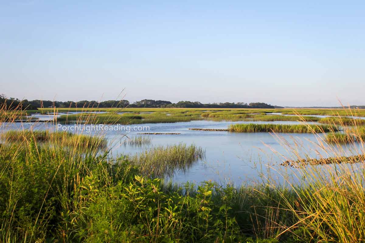 Marsh land at sunset at Botany Bay, SC. 