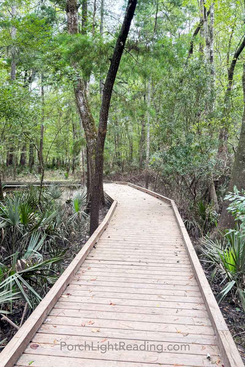 Boardwalk at the Ashley River Park. 