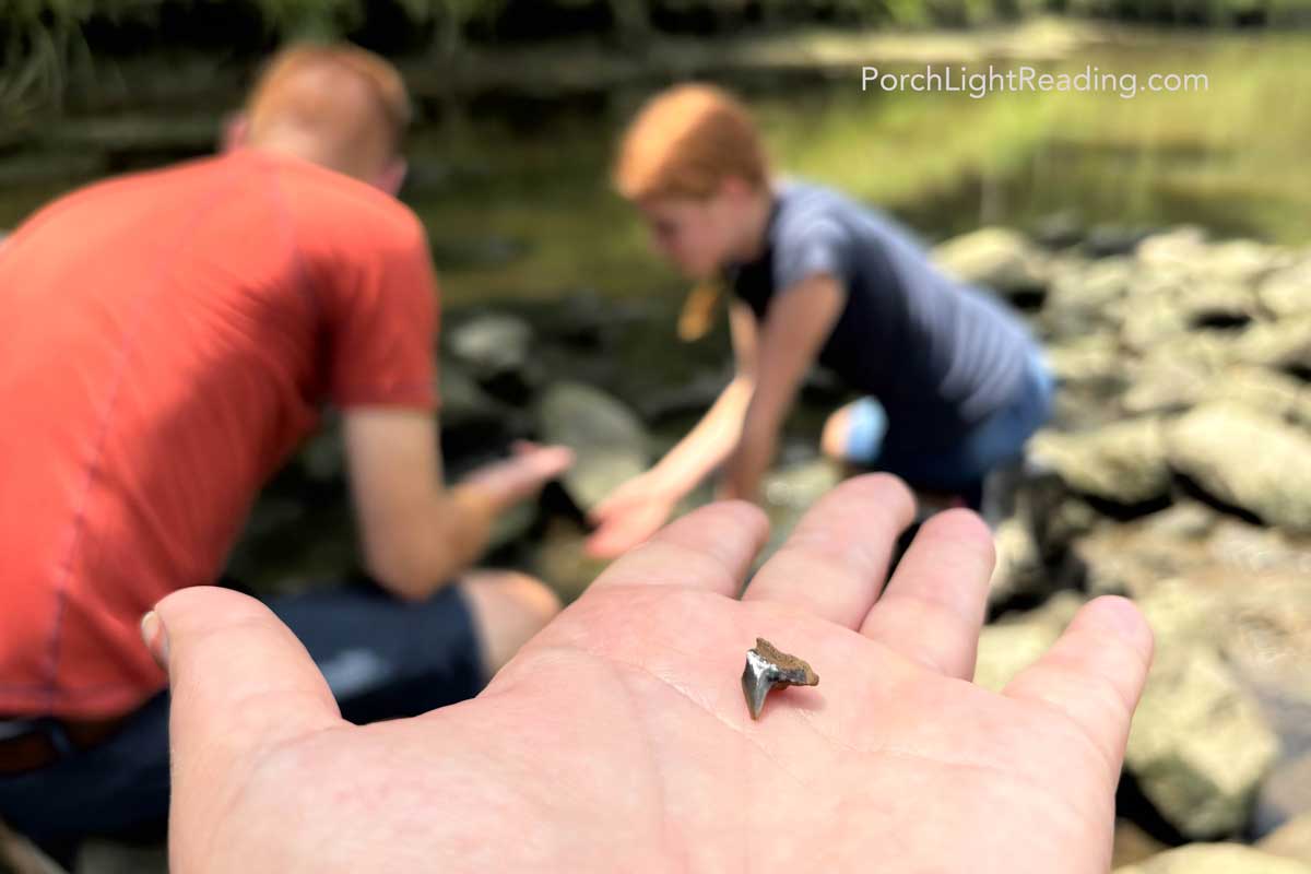 Shark tooth found along the rocks at Saw Branch Trial. 