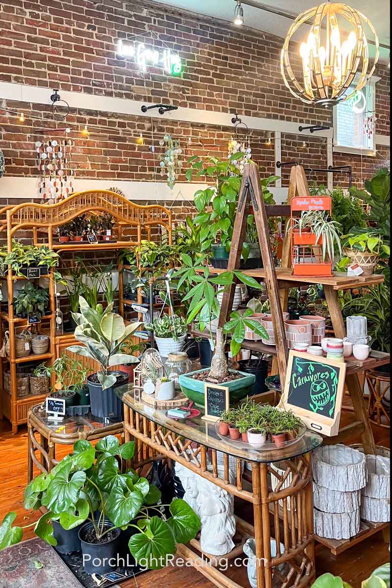 Exotic flower and plants boutique in downtown Summerville, SC. 