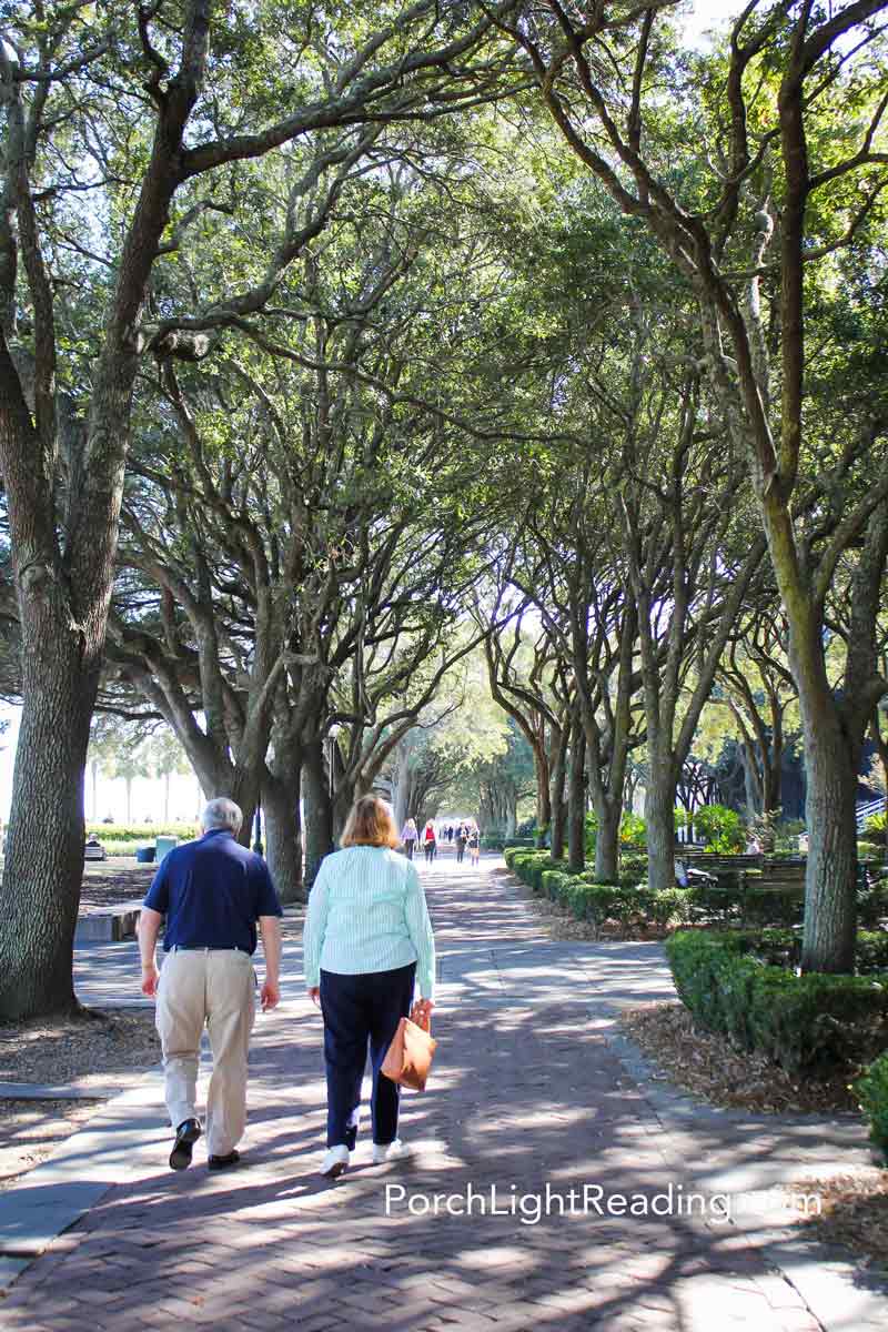 Tree lined path along Waterfront Park. 