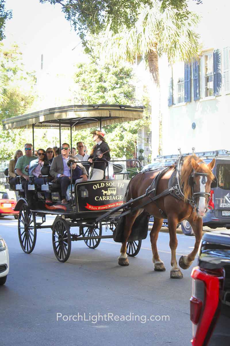 Horse and carriage on the Old South Carriage Tour. 