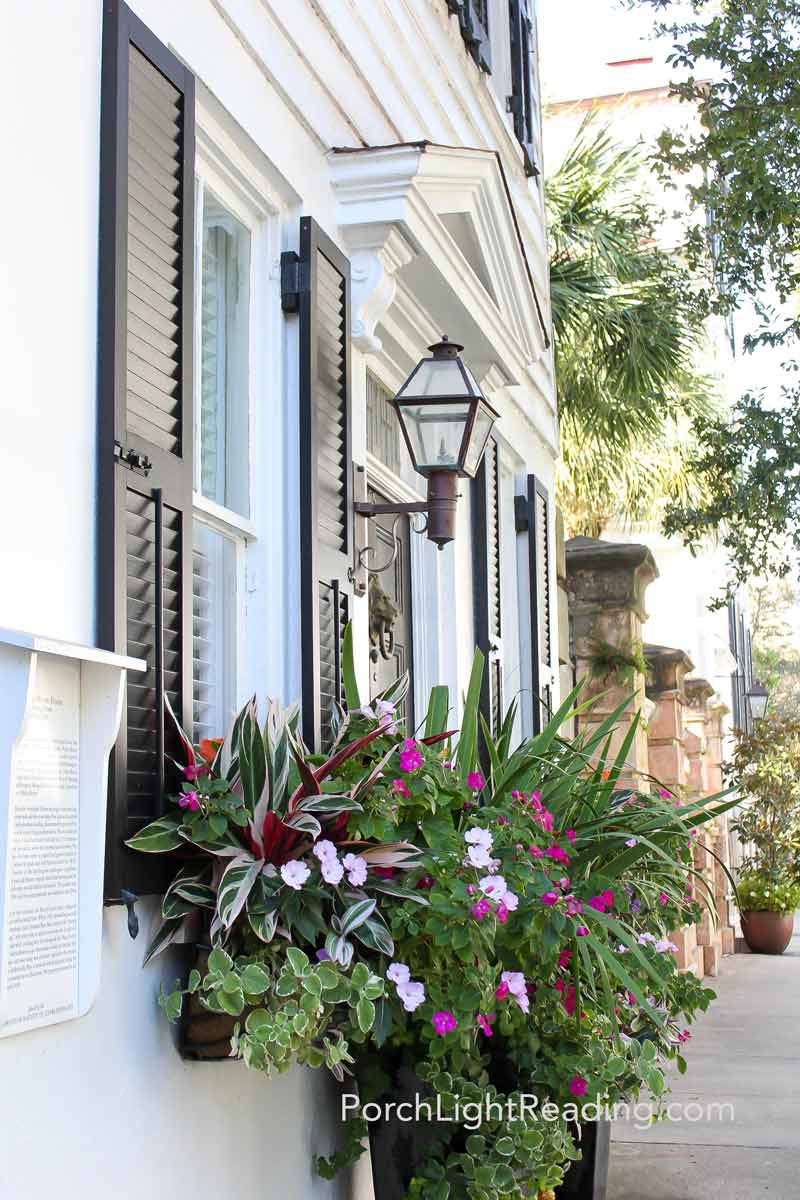 Historic homes in downtown Charleston with large planter boxes. 