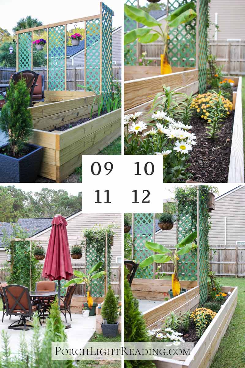 Steps 9-12 of the project to include the garden with seasonal plants and vines growing up the trellis. 