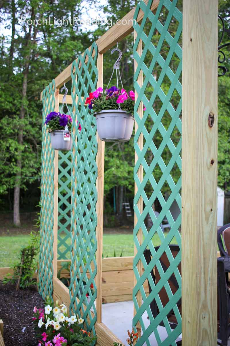 Neutral green trellis with newly planted flowers ready to climb the lattice. 