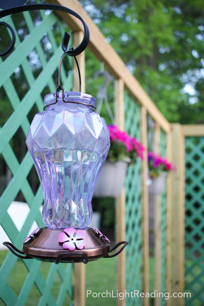 Brightly colored humming bird feeder and hanging plants on the trellis privacy screen. 