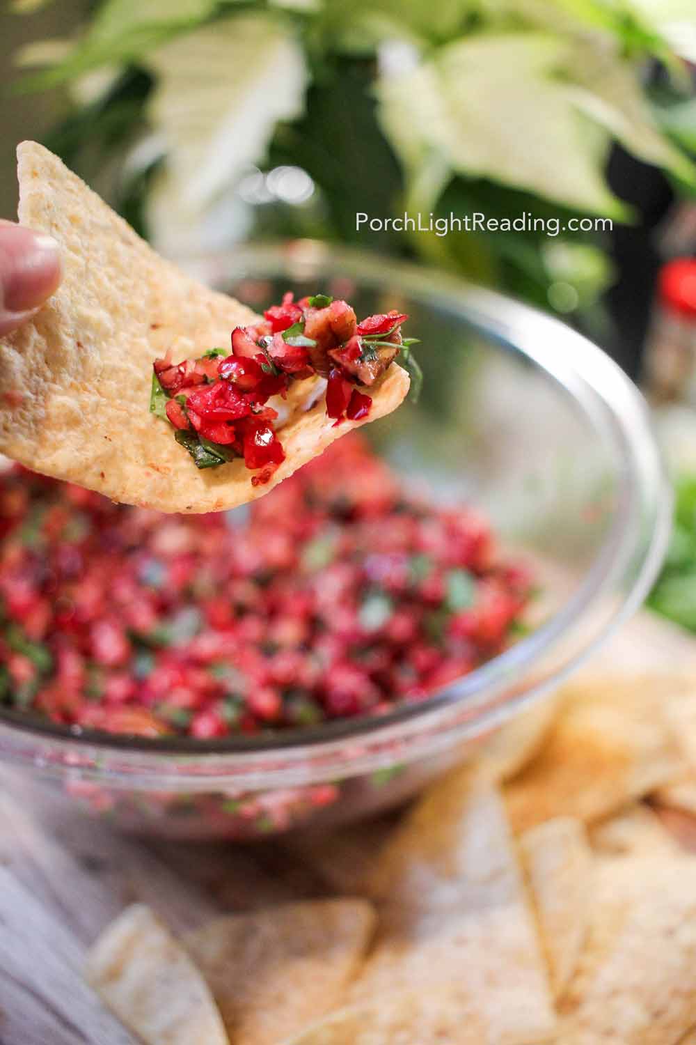 Brightly colored cranberry salsa served on a tortilla chip. 