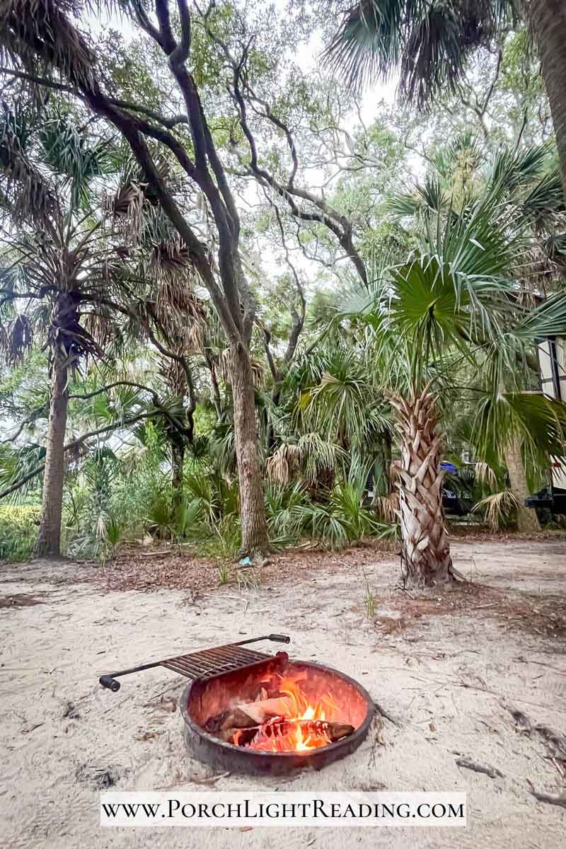 Campfire  in a firering surrounded by sand and palmetto trees. 
