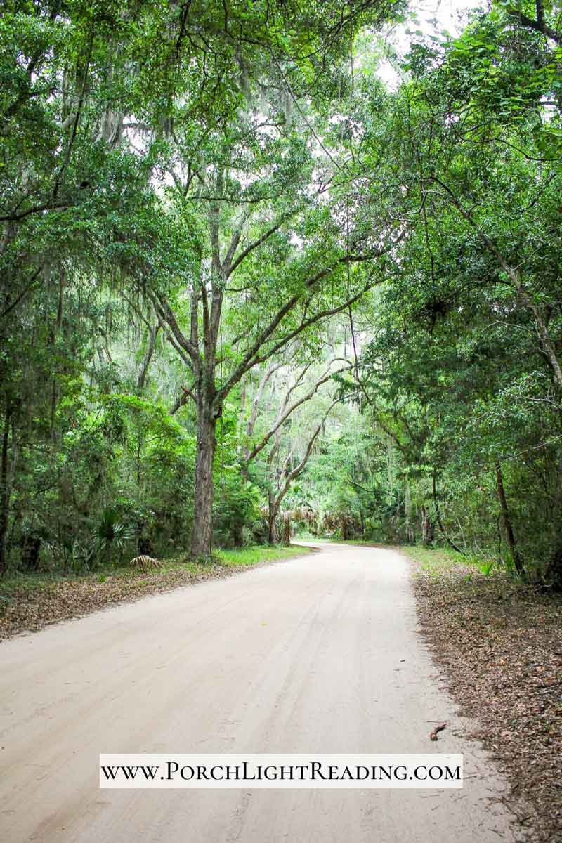 Long dirt road surrounded by lush greenery. 
