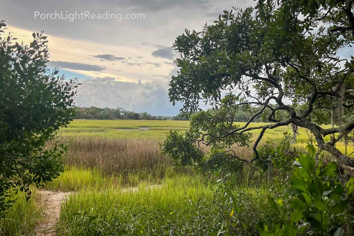 Bright green marsh with gray clouds in the sky. 