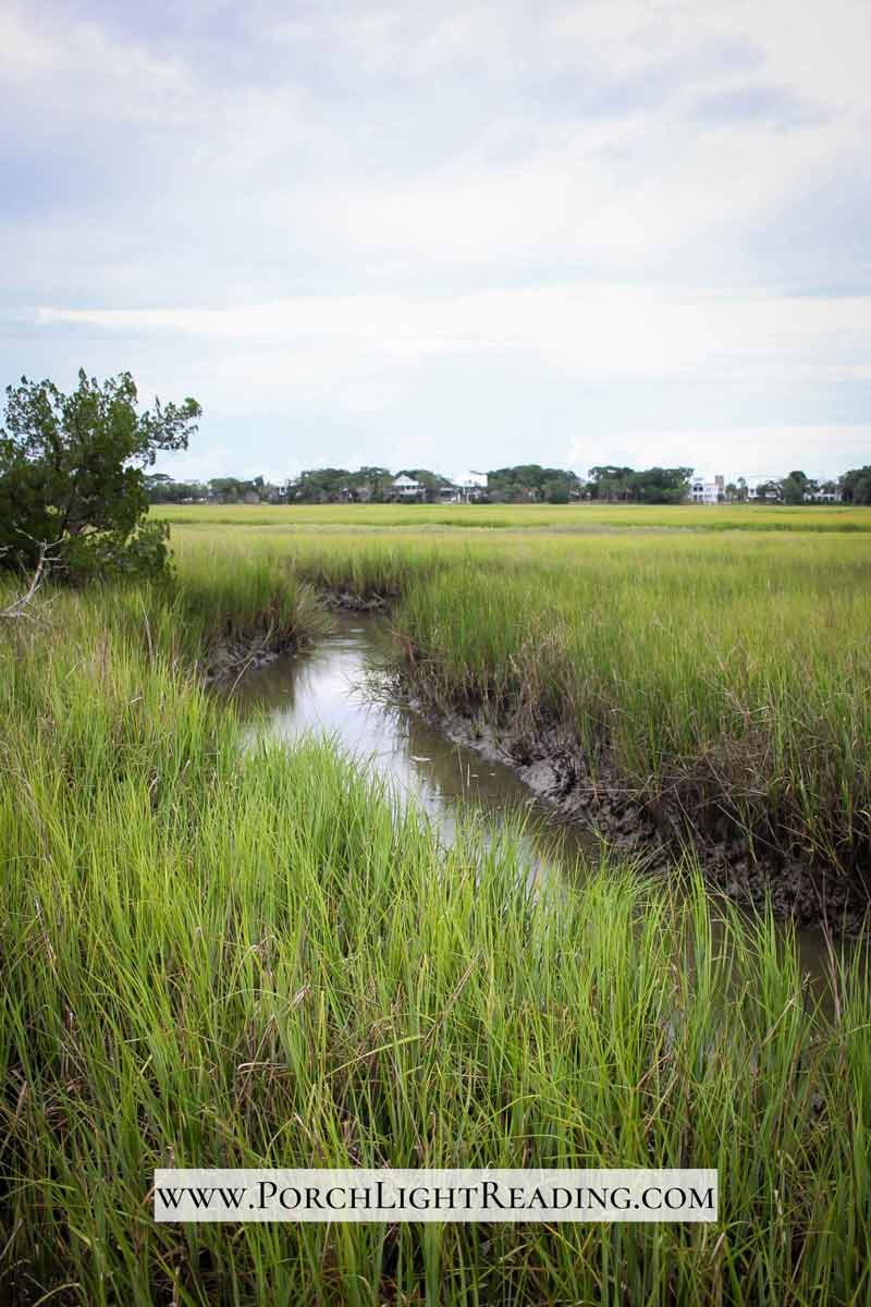 Overlooking the marsh at the Live Oak Campground. 
