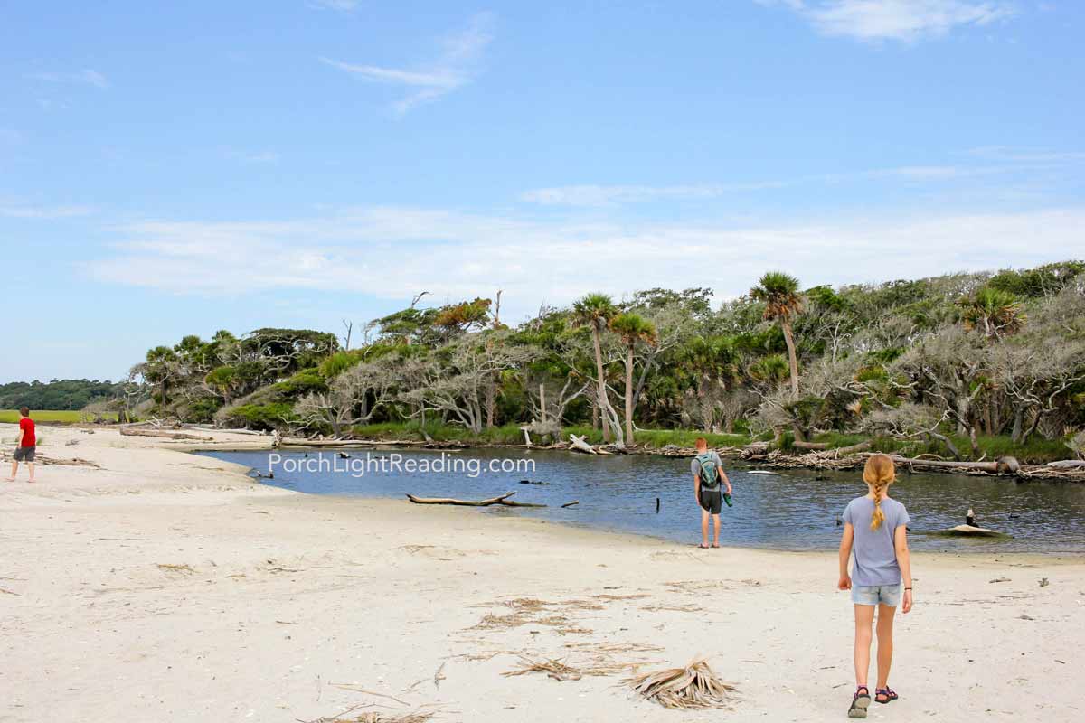 Little cove at Botany Bay, SC. 