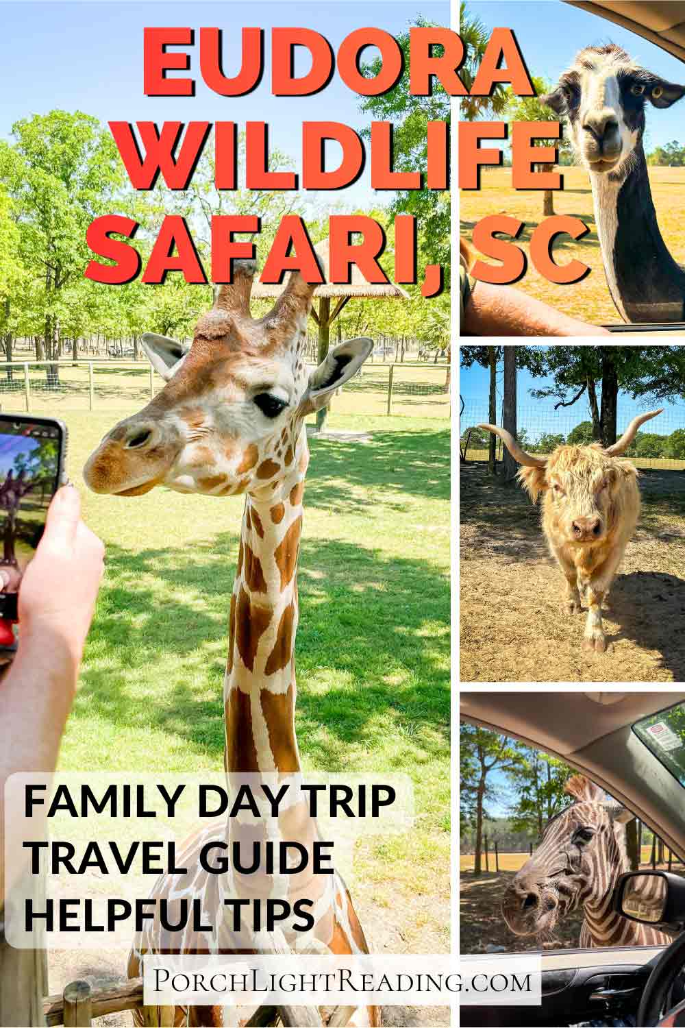 Eudora Wildlife Pinterest pin for social sharing. 