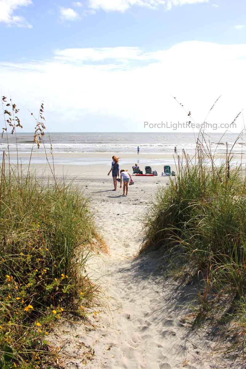 Beach path between tall green grass leading to the ocean. 