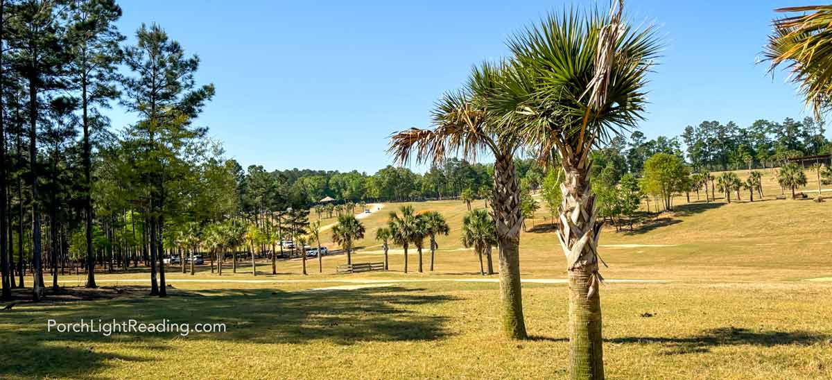Eudora Wildlife Safari road with hills and Palmetto trees. 