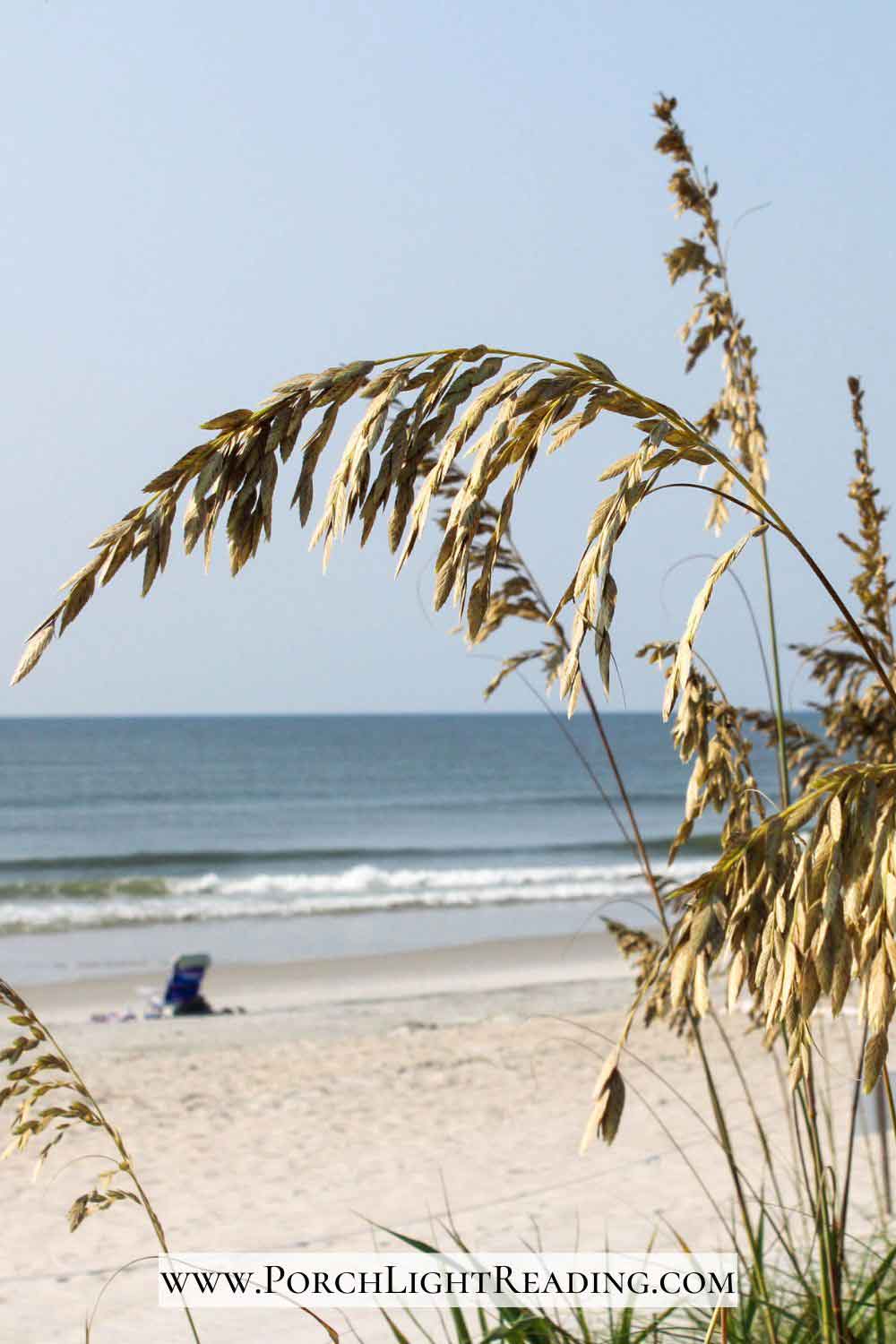 Beautiful beach with tall dune grass overlooking the ocean at Huntington Beach State Park. 