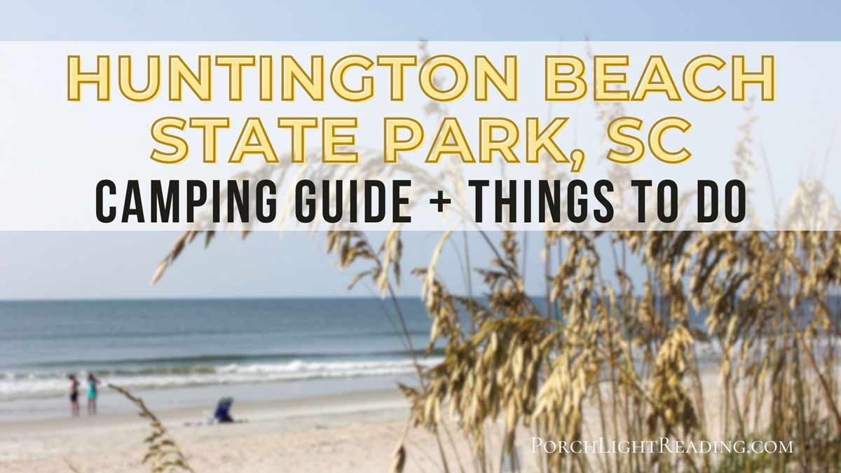 Ocean view at Huntington Beach State Park, SC. 
