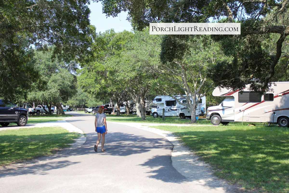 Campground road lined with trees and campers at Huntington beach campground. 
