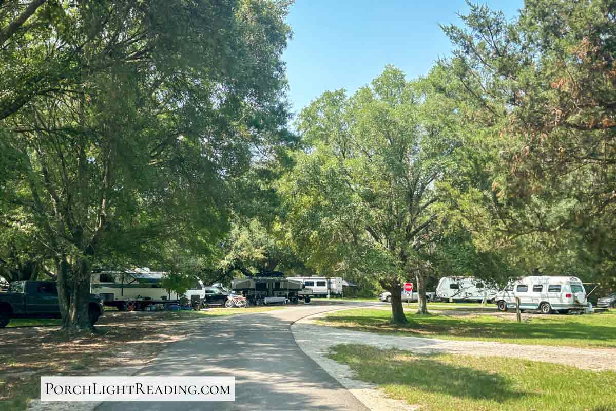 Campers and vans under the large trees at the North Camping area at Huntington Beach State Park. 