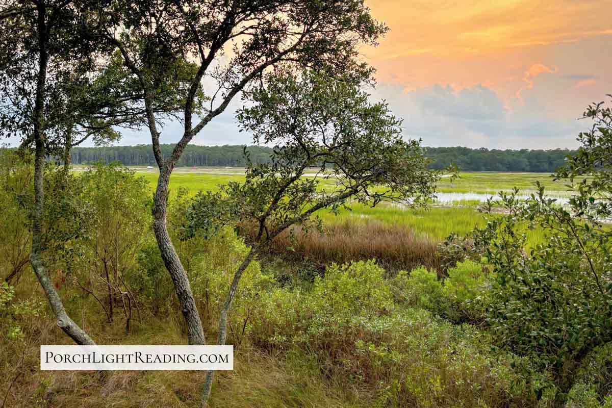 Sun setting over the marsh. 