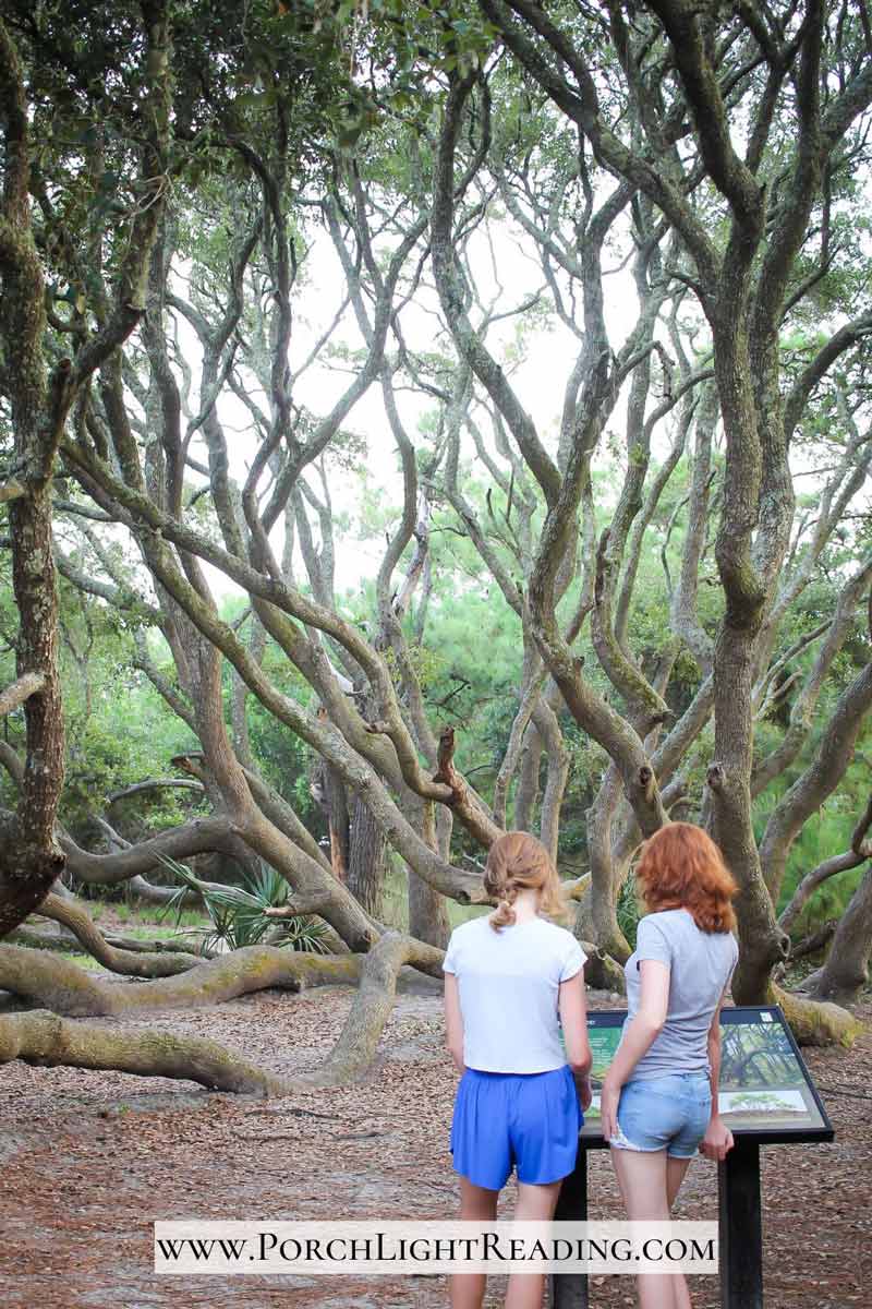 Two girls reading the plaque about the Octopus tree at Huntington Beach State Park. 