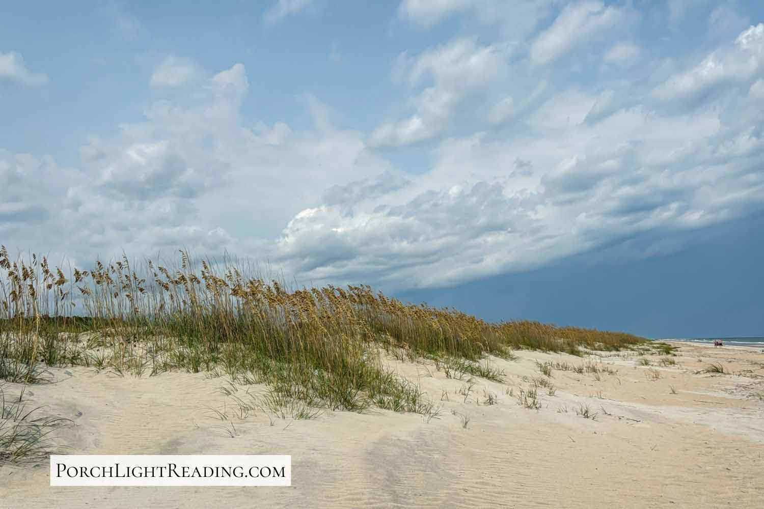 Sand dunes and tall grass with storm clouds in the sky. 