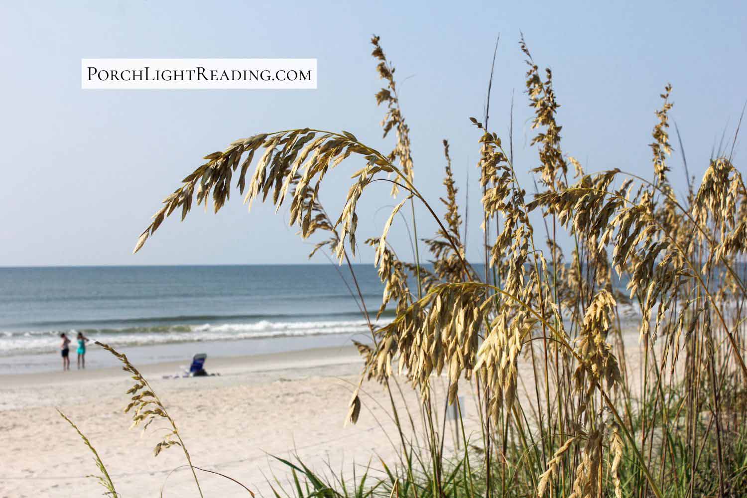 White sand beach and tall grass over looking the ocean at Huntington Beach State Park. 