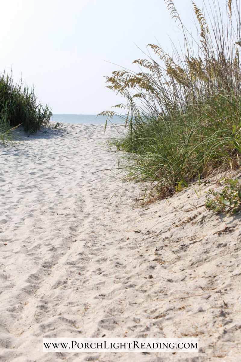 Sand walkway leading to the ocean. 