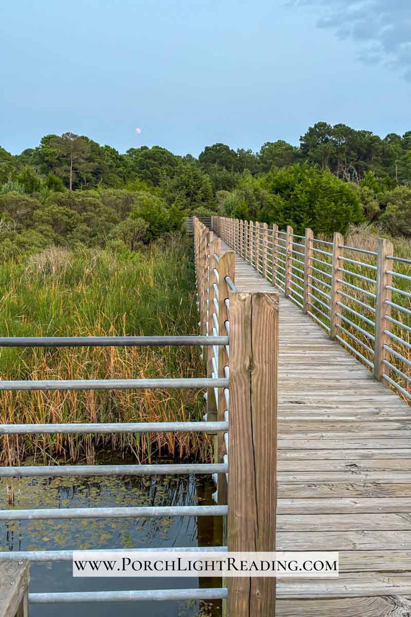 Boardwalk at Huntington Beach State Park. 