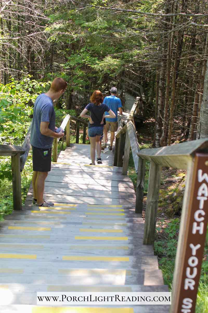 Stairs leading down into the gorge and boulder caves.