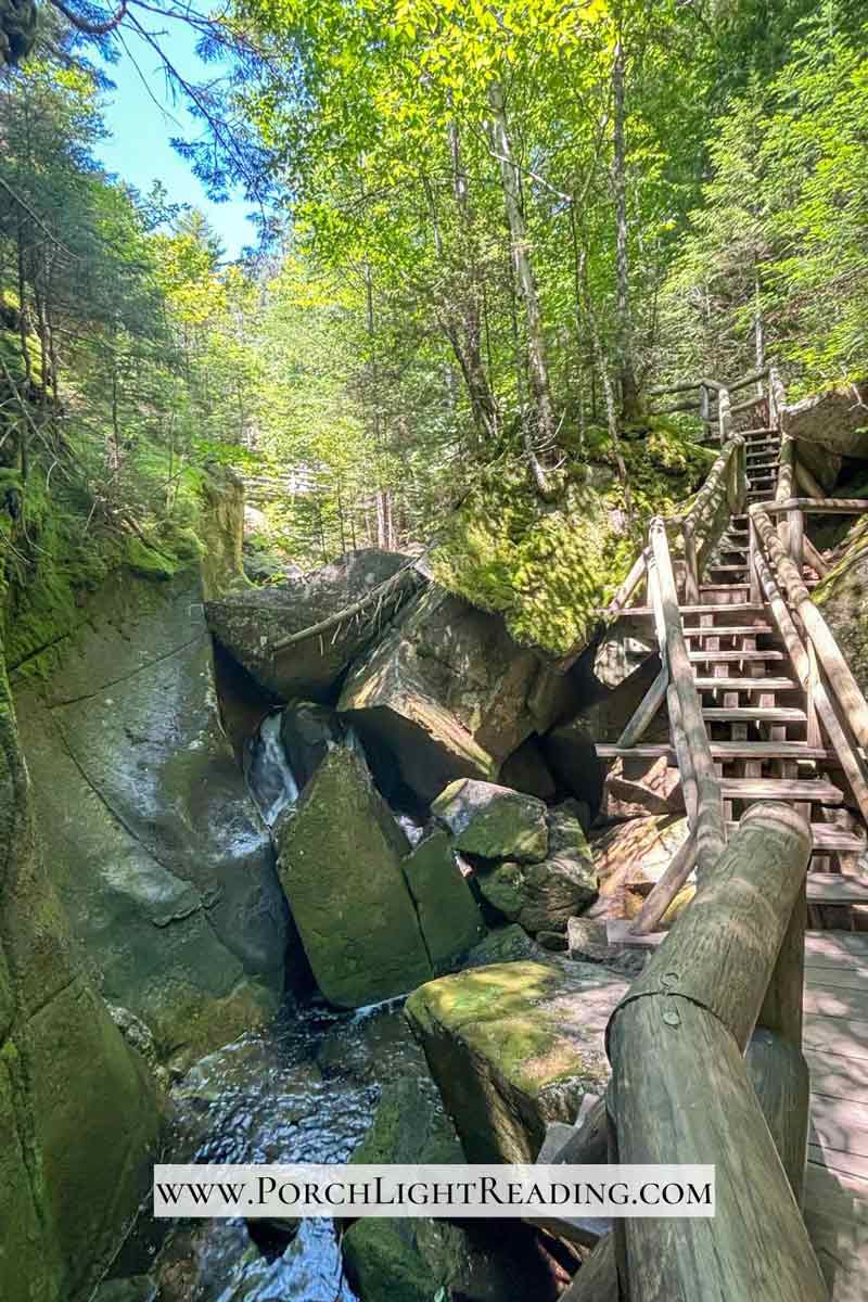 Large boulders next to the boardwalk.