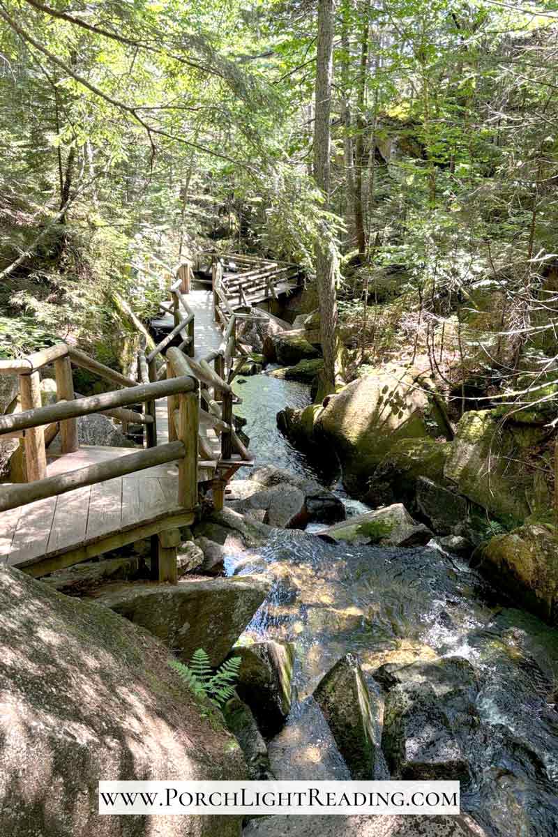 Boardwalk next to the rocky gorge.